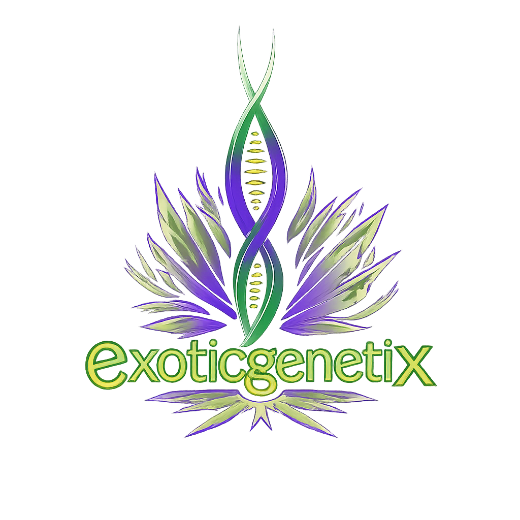 The logo of exotic genetix a cannabis seed breeder