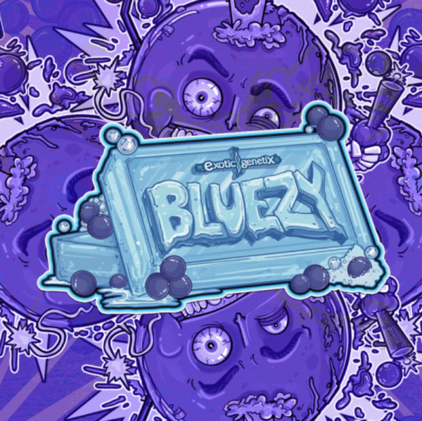 A cannabis seed, named Bluezy-Bang-Bang-by-Exotic-Genetix