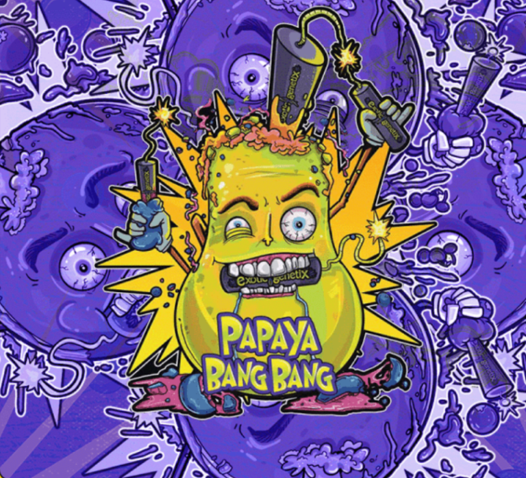 Papaya Bang Bang cannabis seeds by exotic genetix