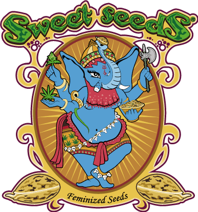 The logo of cannabis seeds breeder named sweet seeds