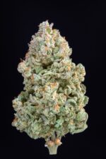 Afghan Kush Auto - Image 4