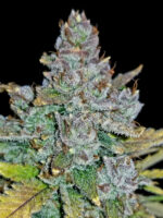 Blue Dream Auto - Image 3