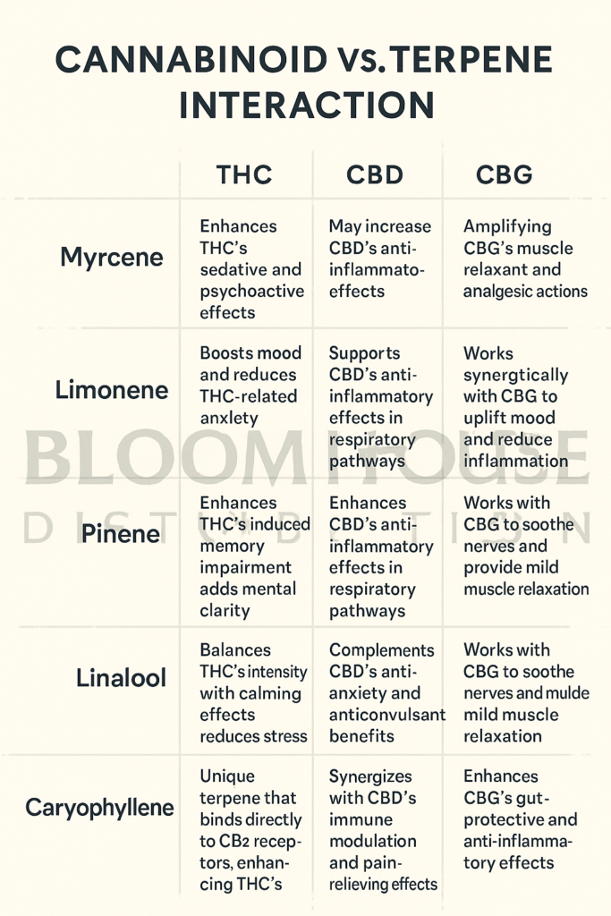 A 2D infographic titled "Cannabinoid vs. Terpene Interaction" showing a matrix chart that maps how five common cannabis terpenes—Myrcene, Limonene, Pinene, Linalool, and Caryophyllene—interact with three major cannabinoids: THC, CBD, and CBG. Each cell contains text summarizing the specific effect or synergy, such as Myrcene enhancing THC’s sedative effects or Linalool complementing CBD’s anti-anxiety benefits. A large transparent watermark reading “Bloom House Distribution” is overlaid across the background. The design features a clean beige background with dark teal text in a professional, modern style. Ask ChatGPT