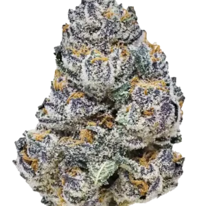 A tall Rainbow Melon cannabis plant with vivid, trichome-rich buds and colorful tones, radiating a sweet melon-candy aroma and fruit jelly scent under indoor lights.