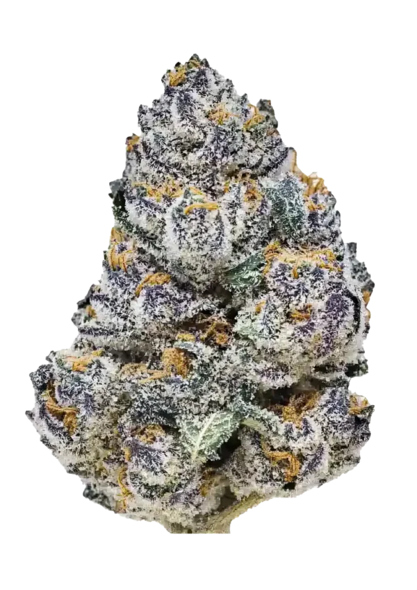 A tall Rainbow Melon cannabis plant with vivid, trichome-rich buds and colorful tones, radiating a sweet melon-candy aroma and fruit jelly scent under indoor lights.