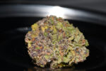 Smoothie Auto - Image 9