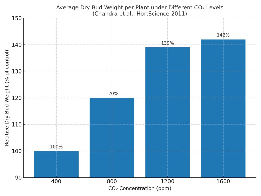 Bar chart showing the effect of different CO₂ levels (400, 800, 1,200, and 1,600 ppm) on cannabis dry bud weight per plant. Bud weight increases from the baseline at 400 ppm to about 20% higher at 800 ppm and peaks at nearly 39% higher at 1,200 ppm, with only a slight increase at 1,600 ppm. Data source: Chandra et al., HortScience (2011).