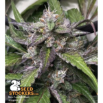 Rucu Cucu OG© Autoflower - Image 3