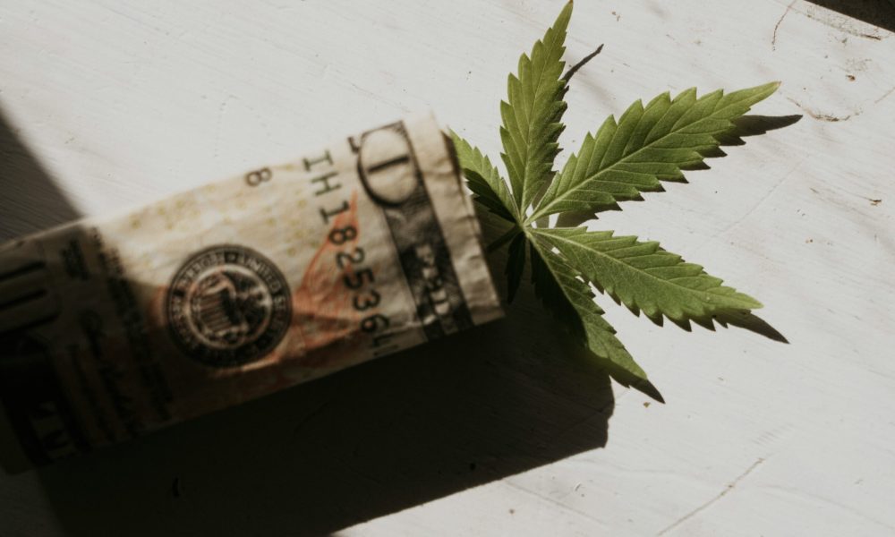 Most Profitable Cannabis Strains Most Profitable Cannabis Strains